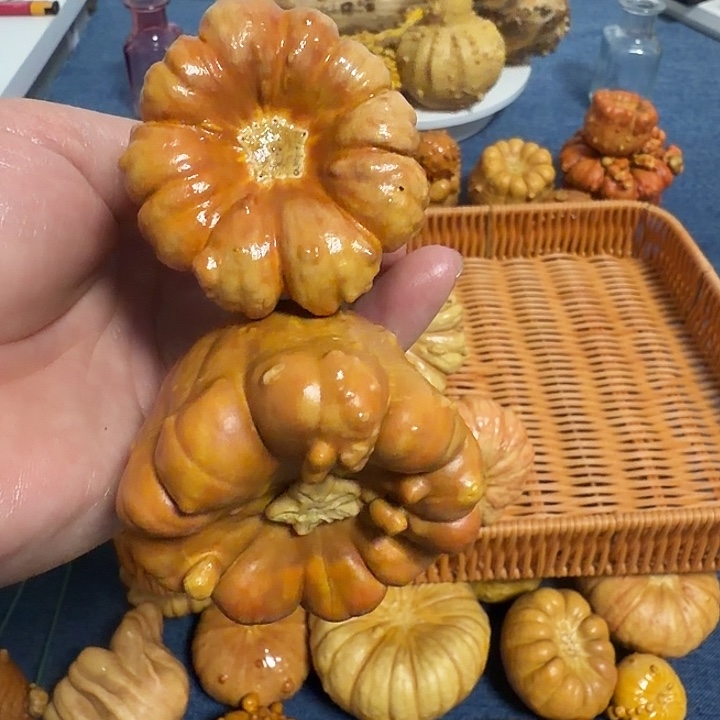 w***n墨西哥七彩疙瘩葫芦瑕疵不退货