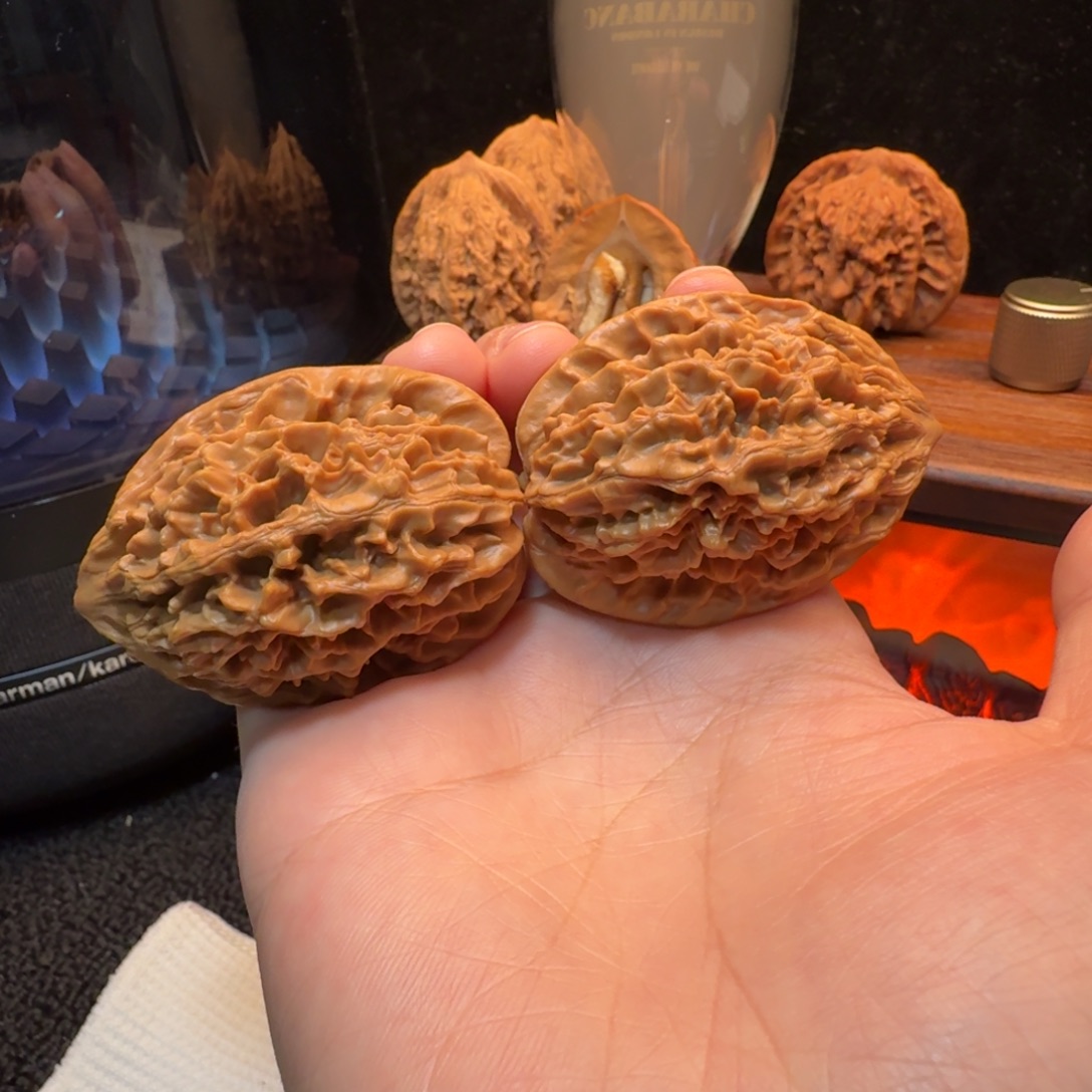 核桃39+全品招财鼠