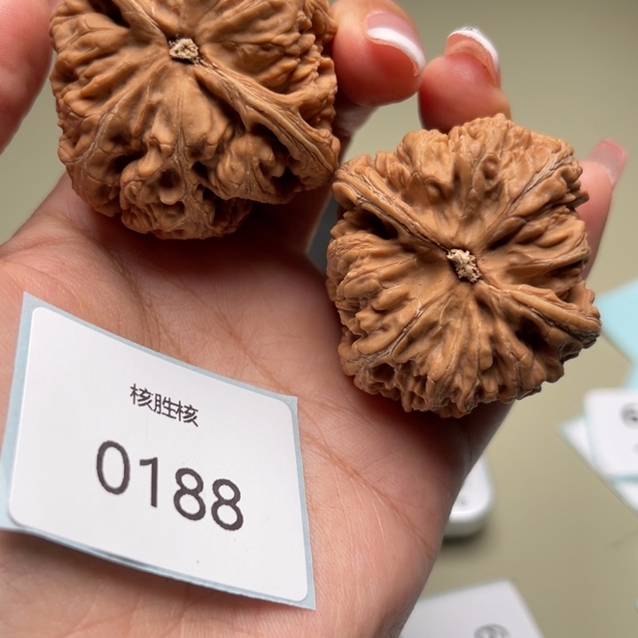 文玩核桃把件粗筋41.0188