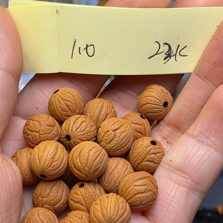 吊坠桃核狼**神秦岭龙纹桃核10尺寸