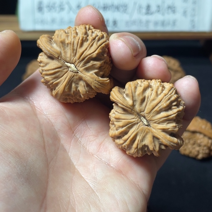 不***知把件文玩核桃白狮子40mm