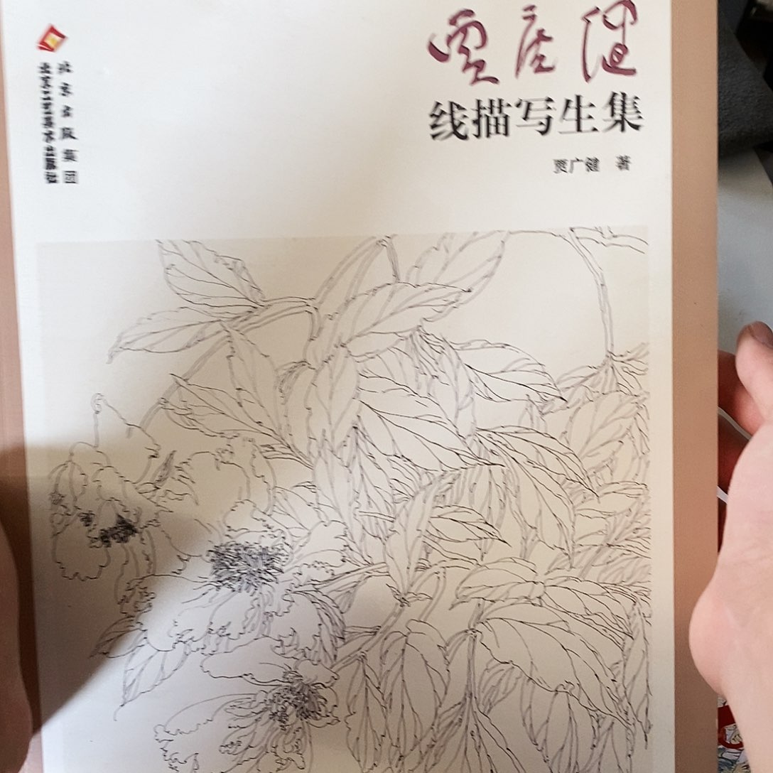 贾广建线描写生666