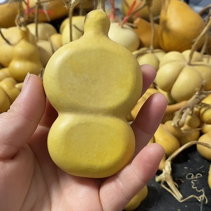 葫芦的颜色很好看