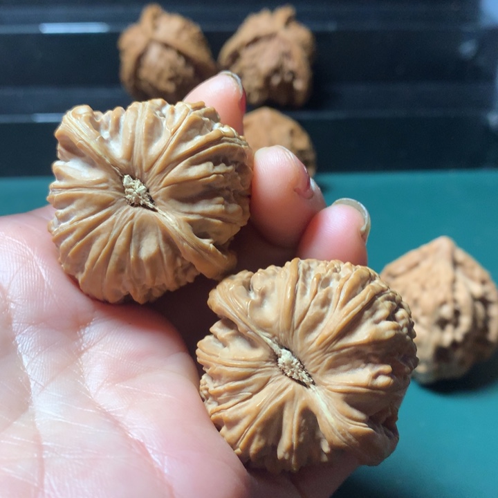 桃核吊坠右**龙白狮子全品