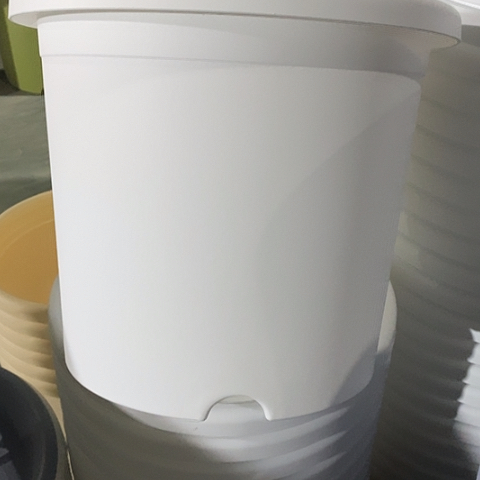 树脂四季5号纯白无托6个