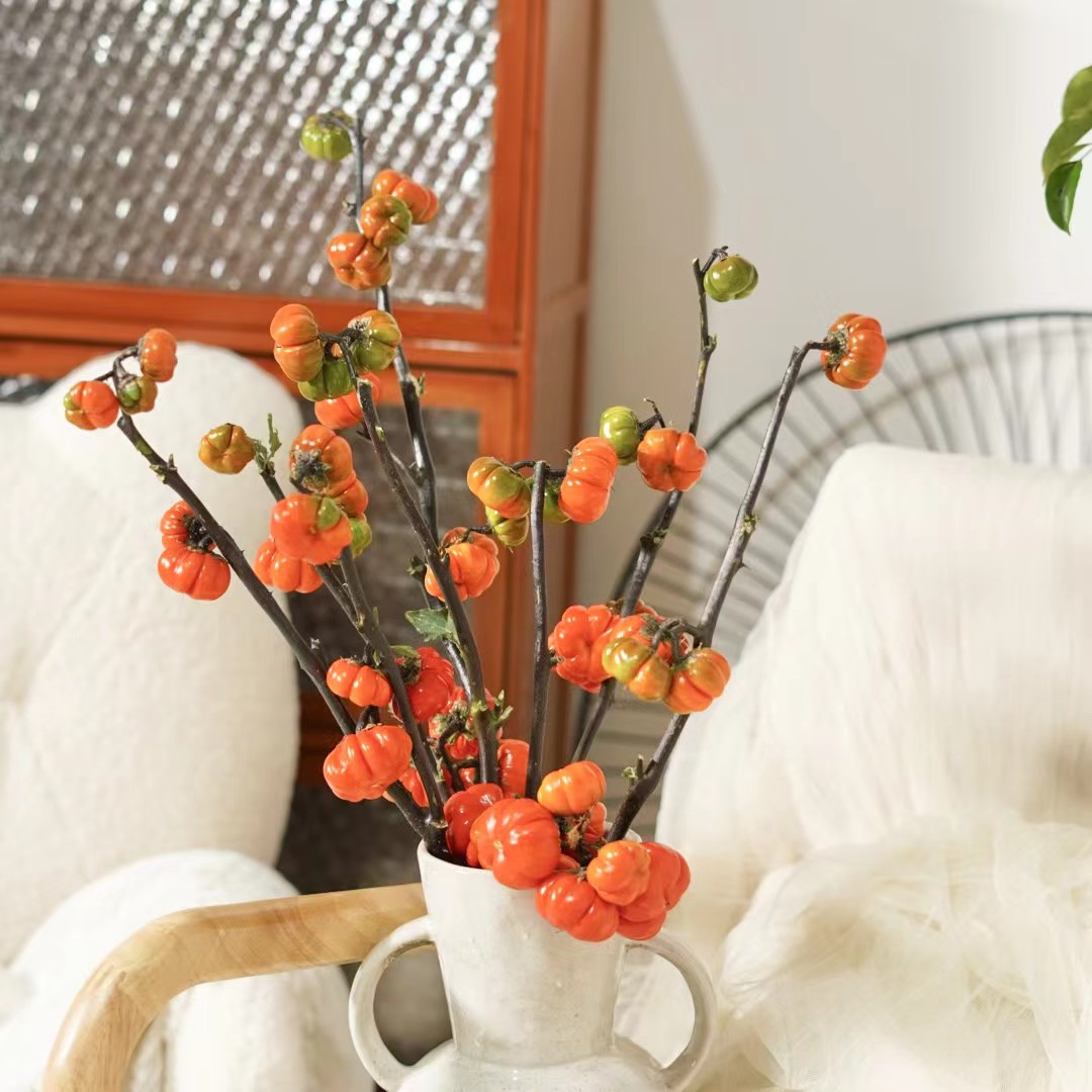 【小阿阮】A级 #小南瓜#果实鲜花直接放干花硕果累累冬季顺丰冷链