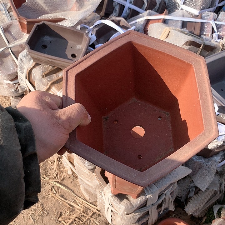 紫砂没有那么多人可以看到的