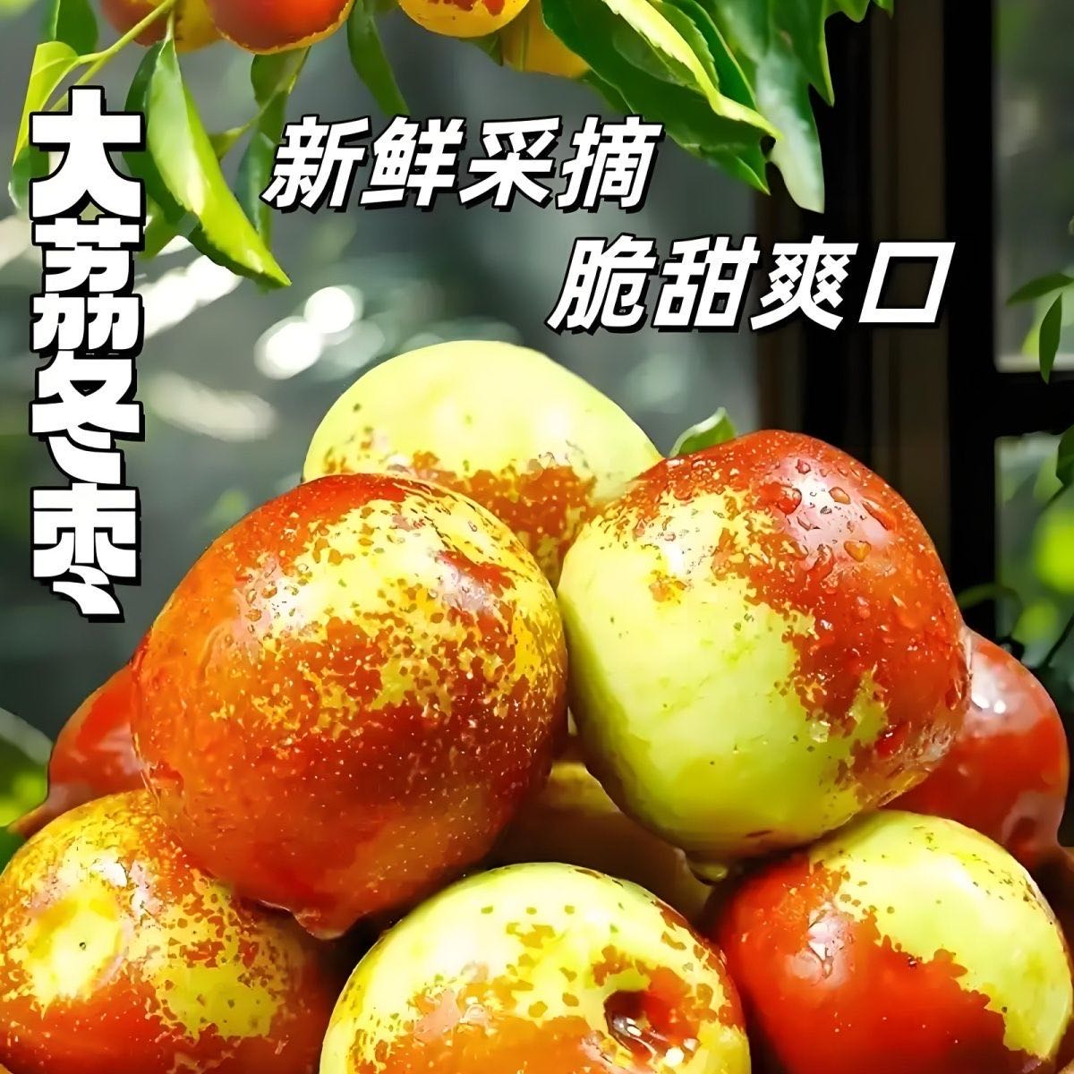 【顺丰次日达】陕西大荔正宗现摘冬枣新鲜应季脆甜多汁水果陕西省