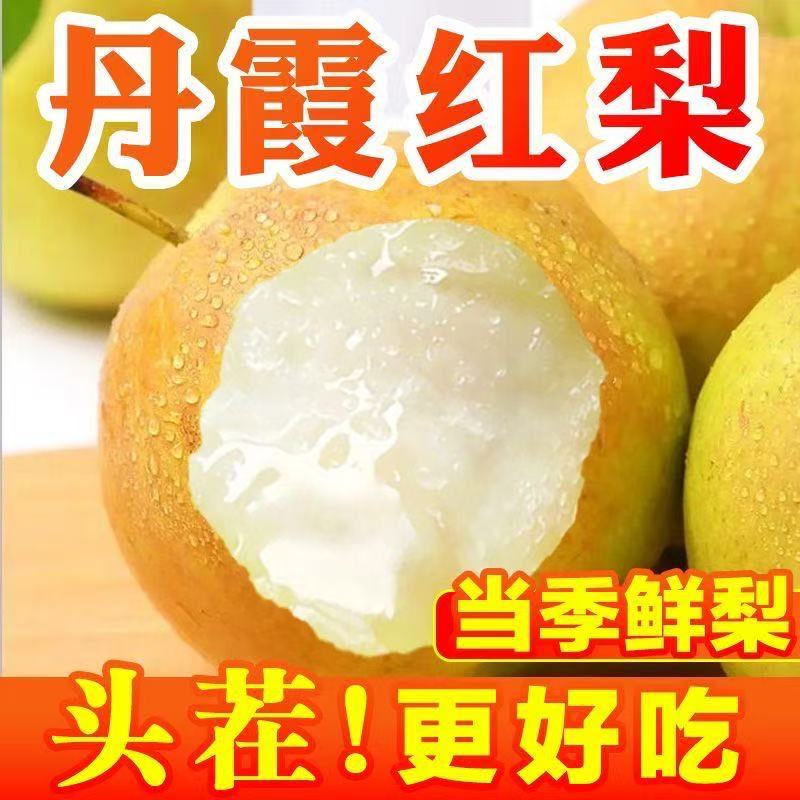 丹霞红梨酥脆现摘现发脆甜多汁薄皮脆梨子当季新鲜水果4.5斤