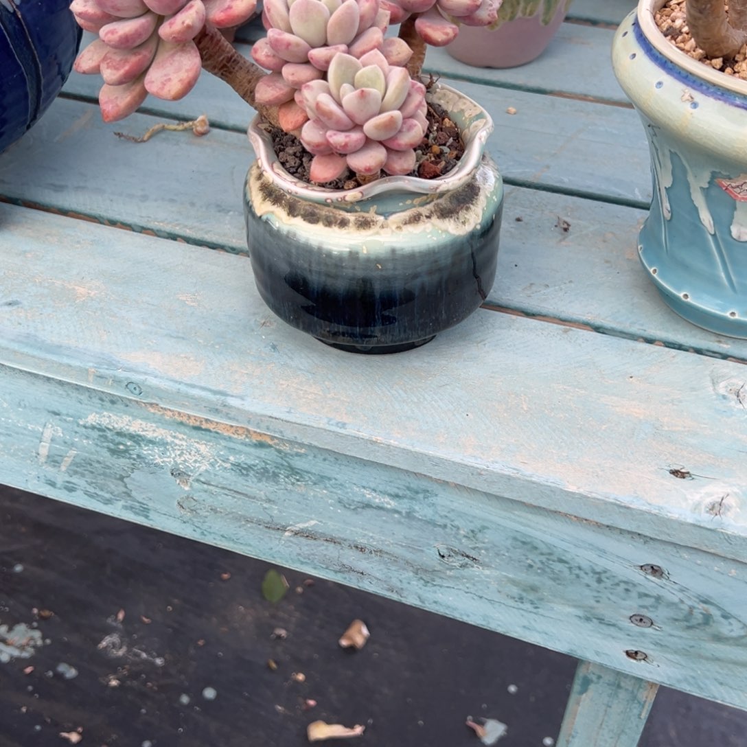 3***O多肉盆，多肉盆，盆米