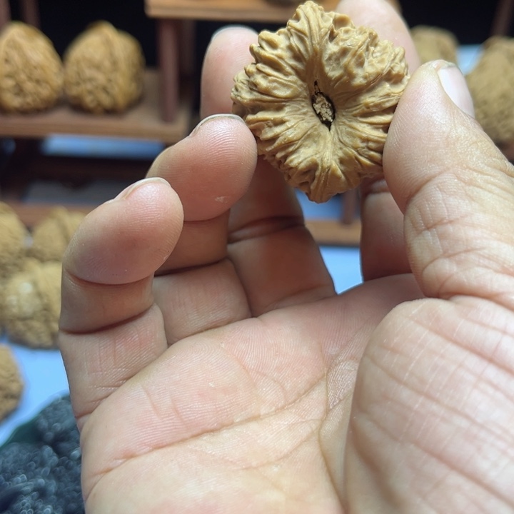 完全开放文****盘官帽核桃