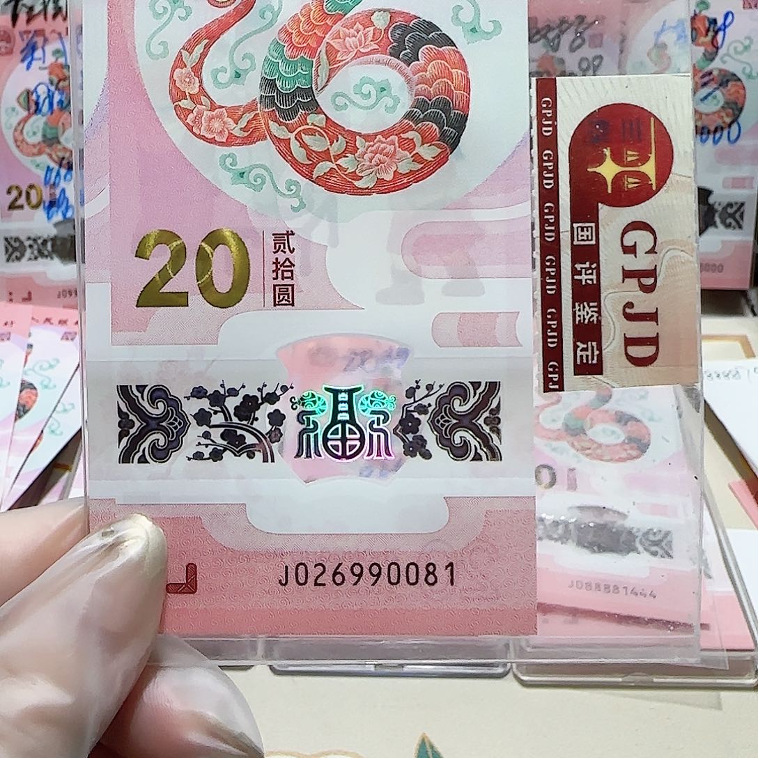 纸026990081。。。。。。朦胧号