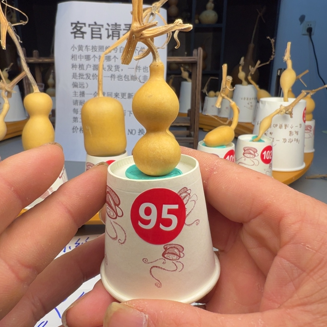 闪电购自助下单编号95