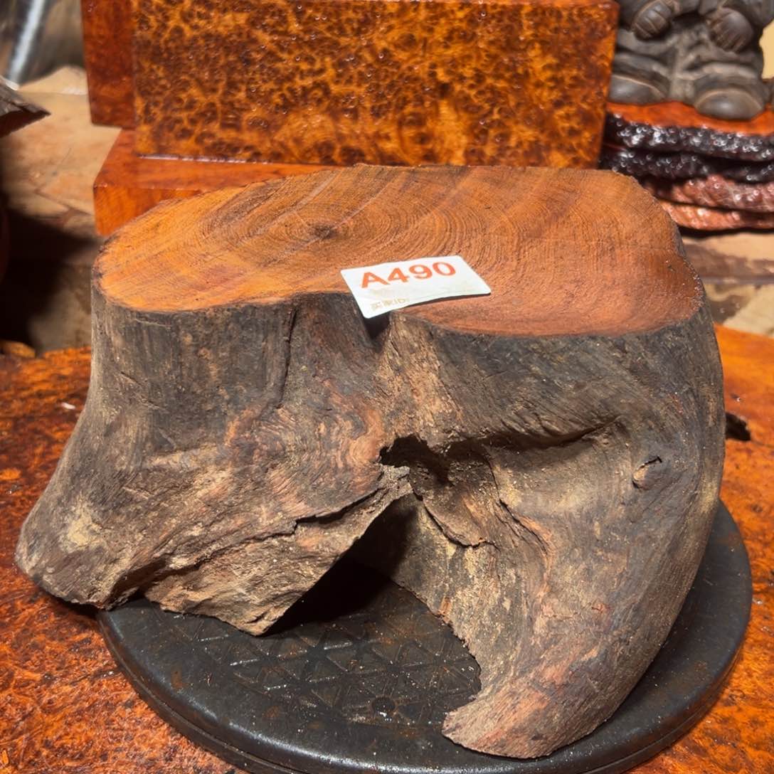 大果紫檀（缅甸花梨）