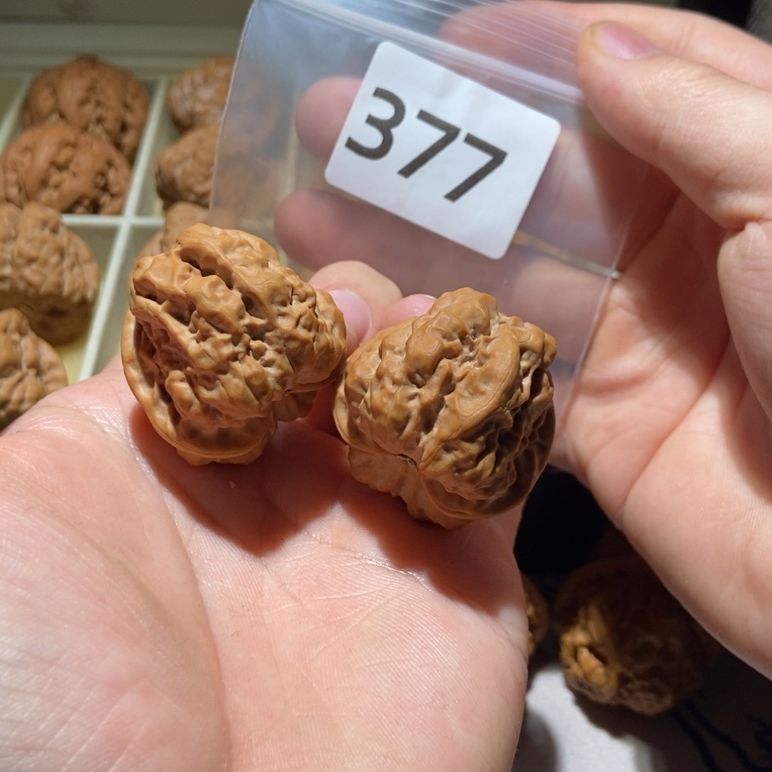 把件文玩核桃37天花板