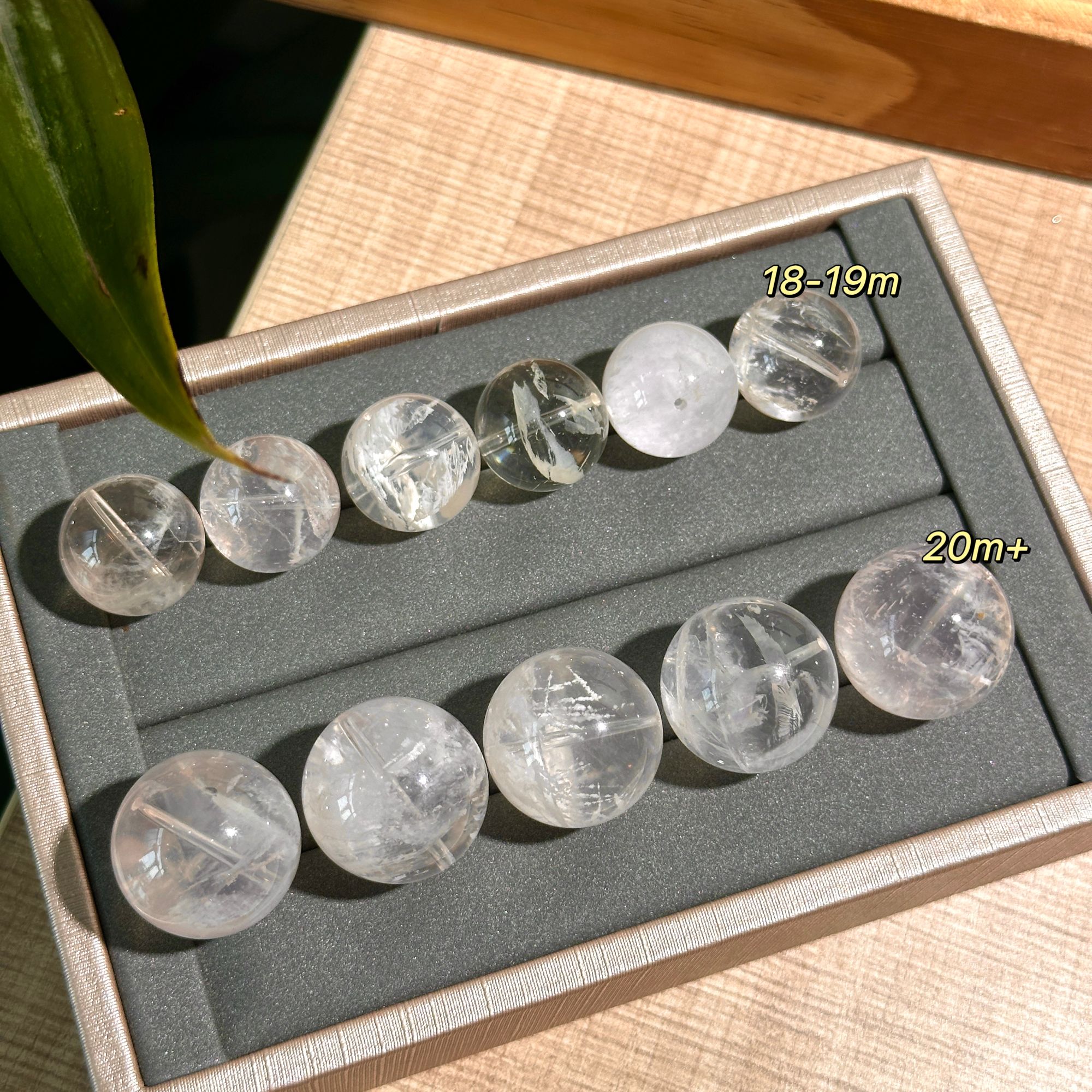 Y172 天然幽灵单珠 多样性发其一