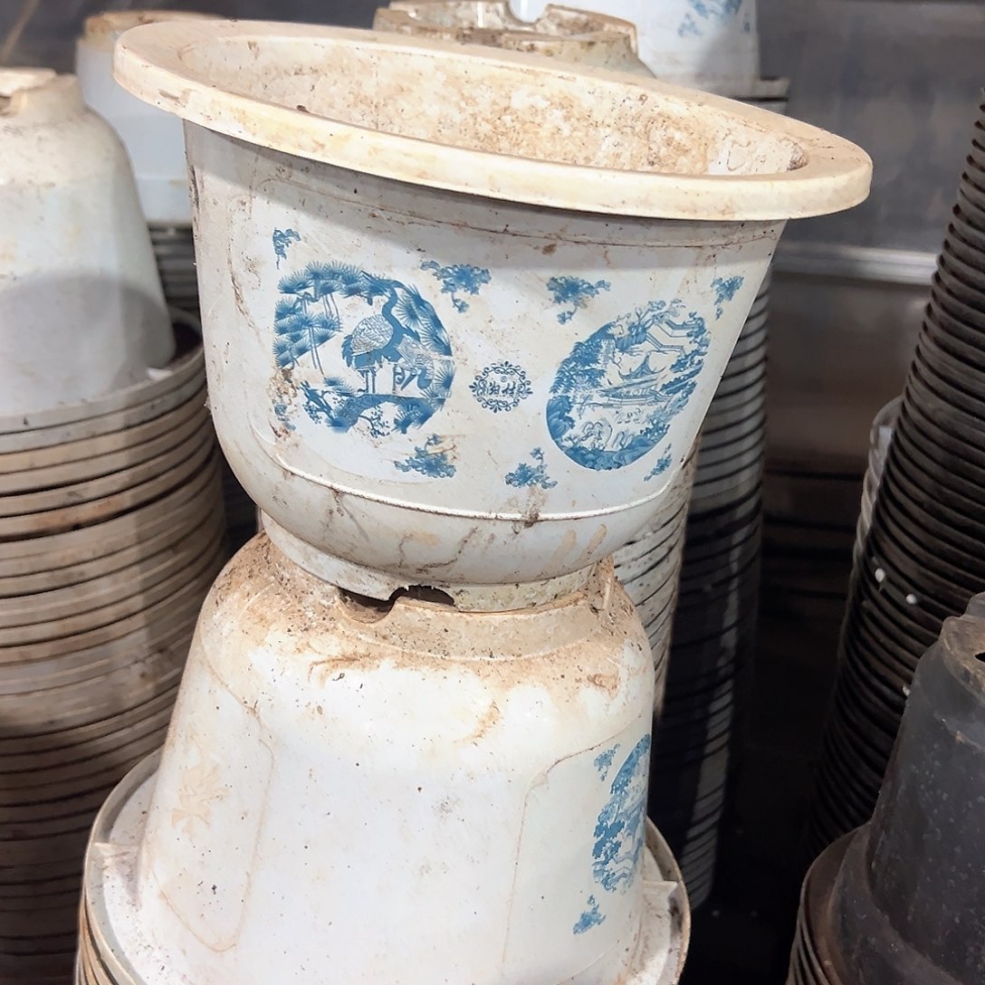 富贵花开盆24口径17高 5个