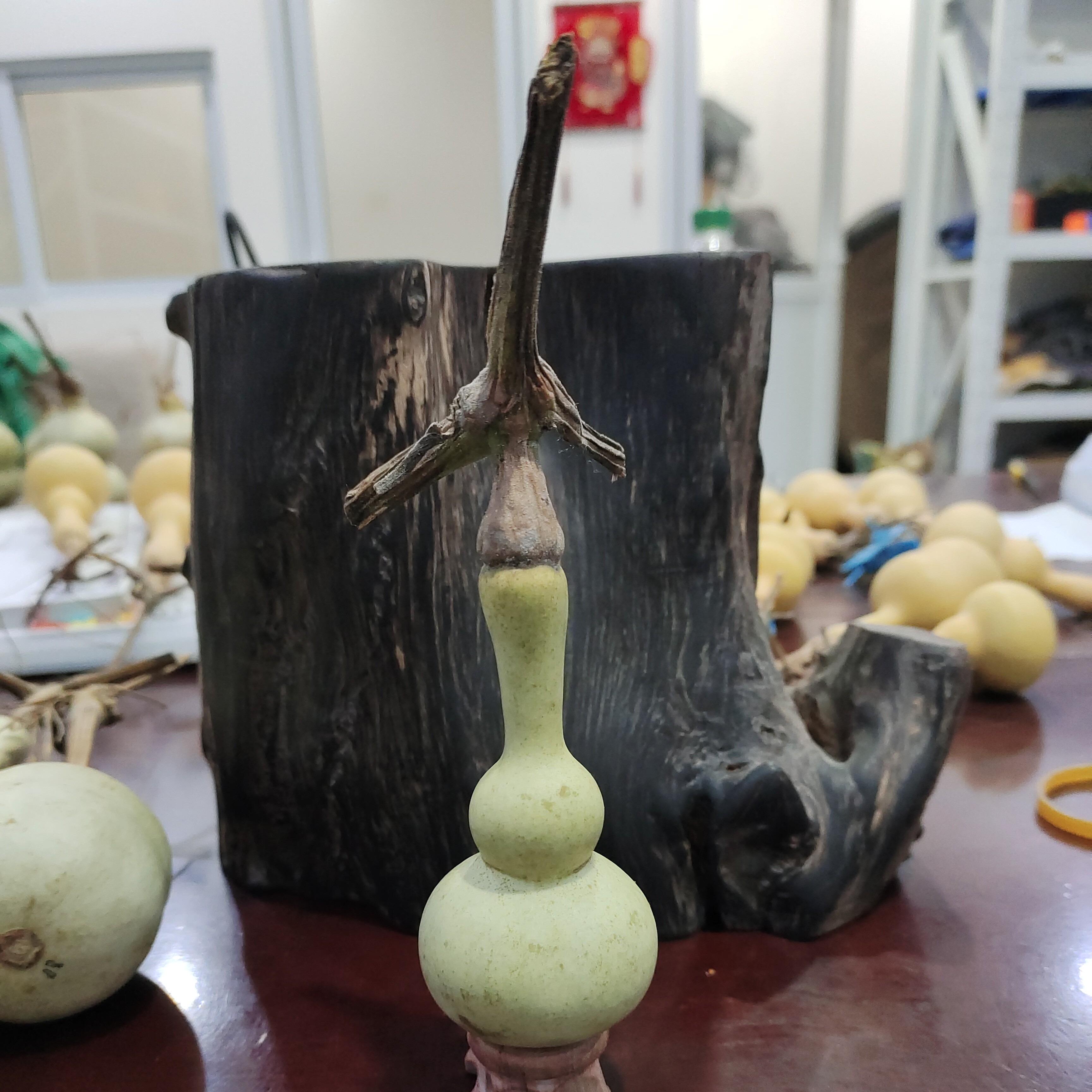 葫芦，，，，，，，，，，，，，