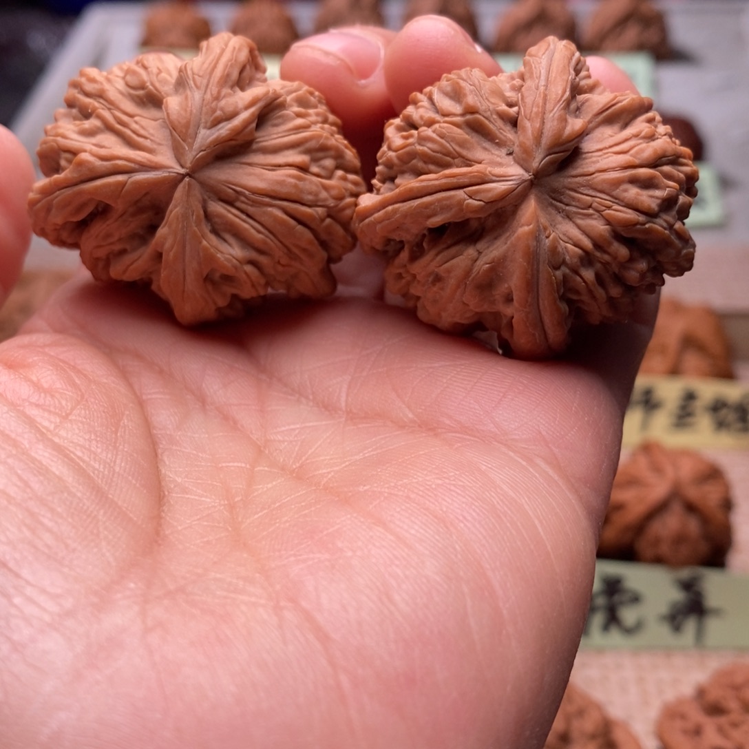 文玩核桃把件白獅子三棱