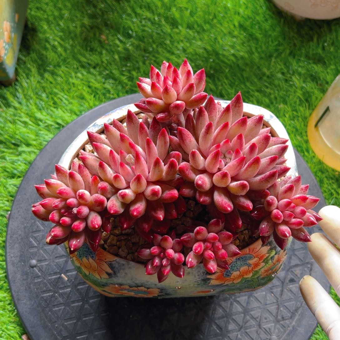 小敏11111111111111