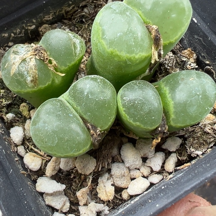 549号11111111111111111