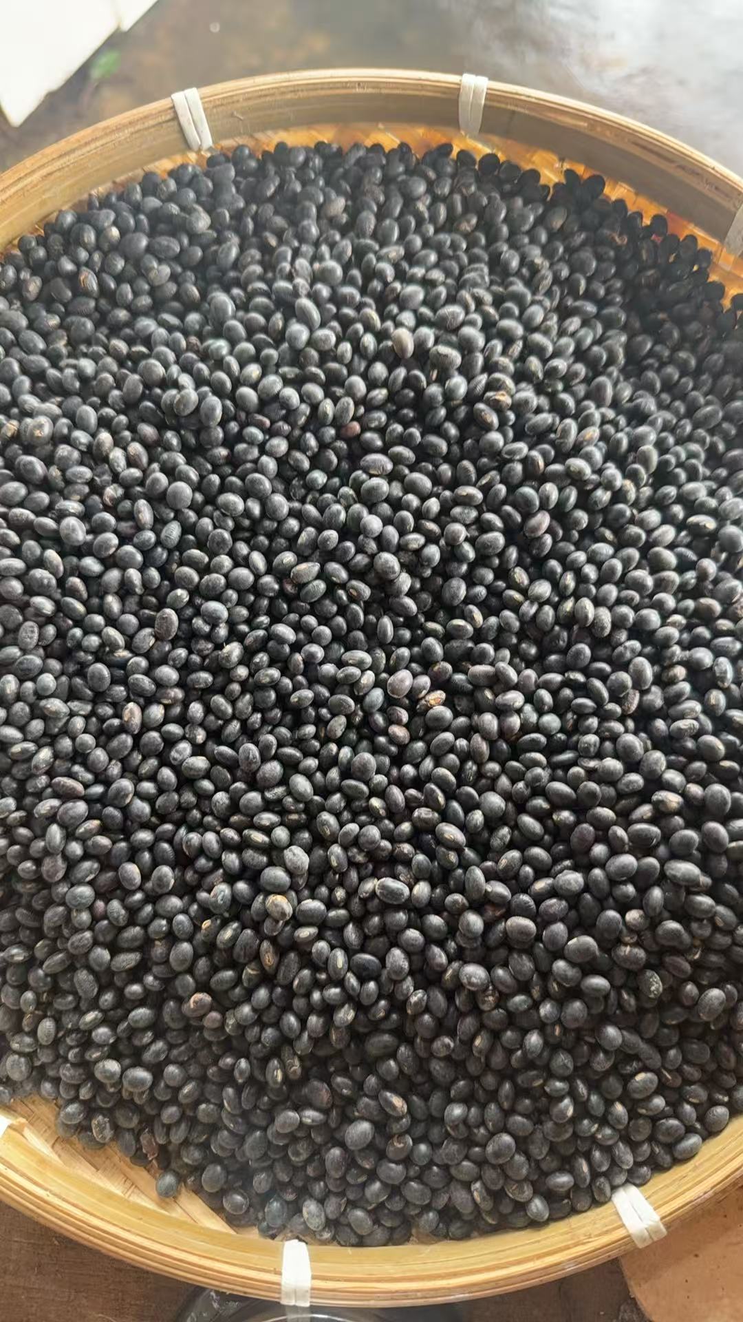 农家自种黑豆500g