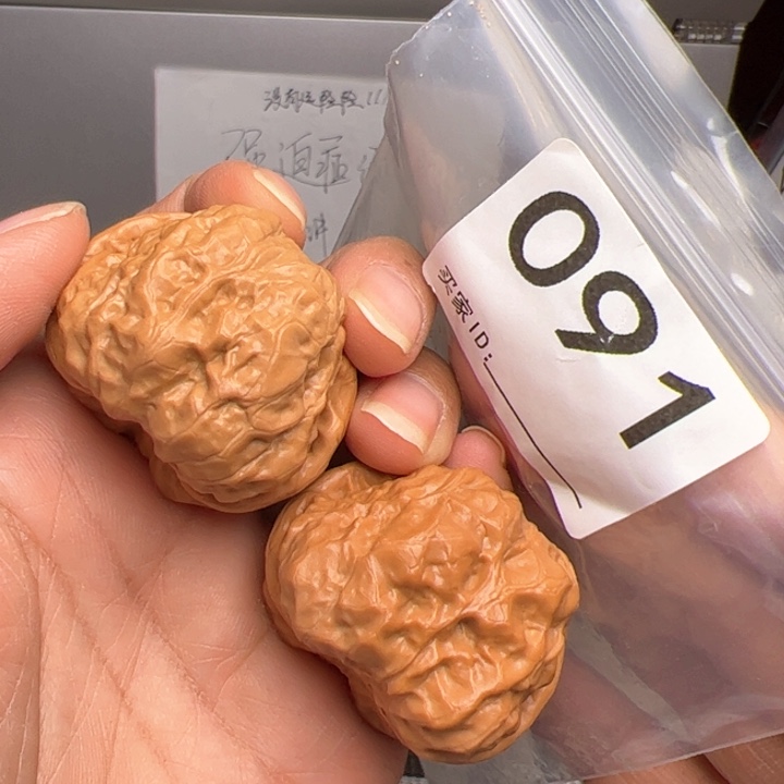 核桃肉蛙40尺091号