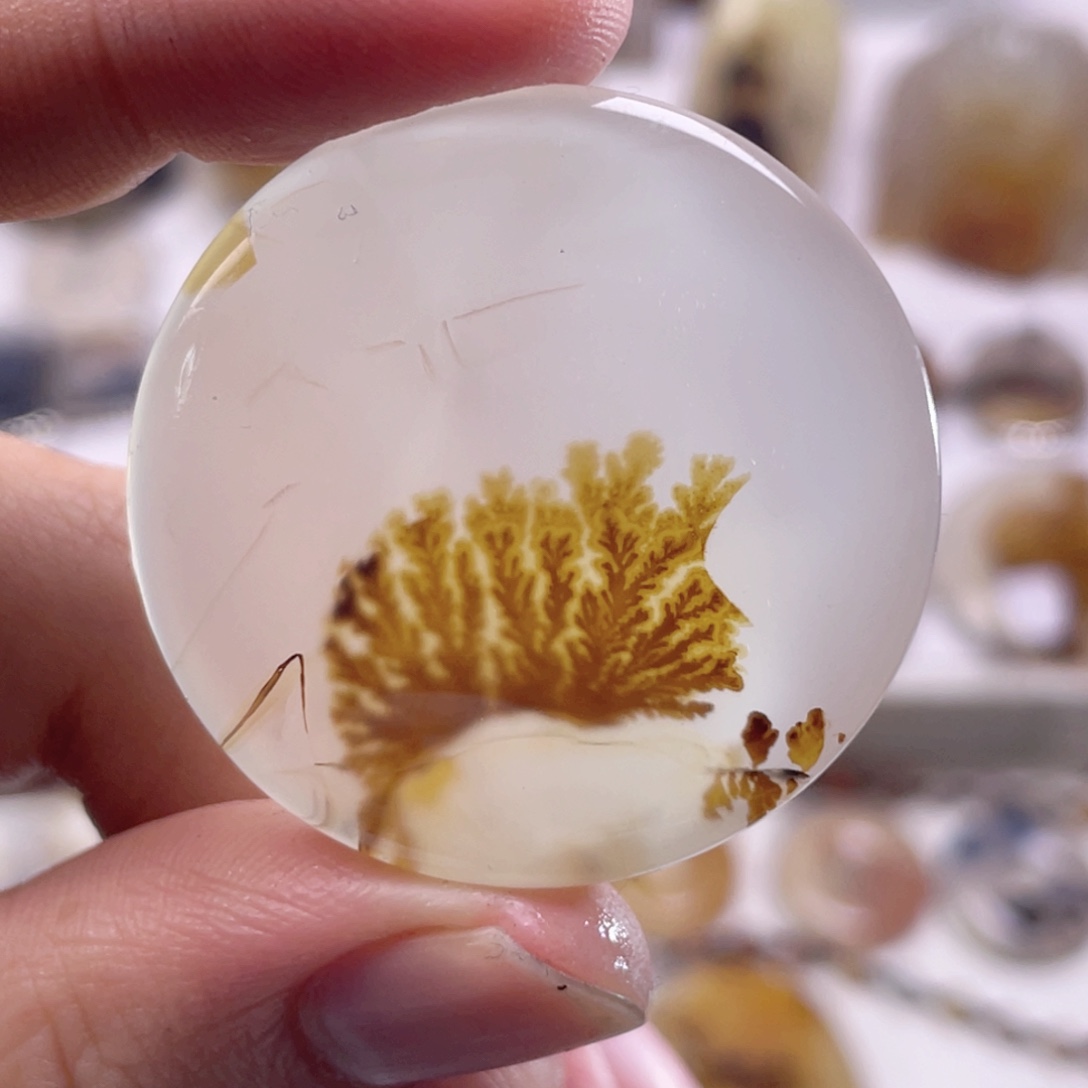 玛瑙/玉髓未镶嵌珠宝奇石