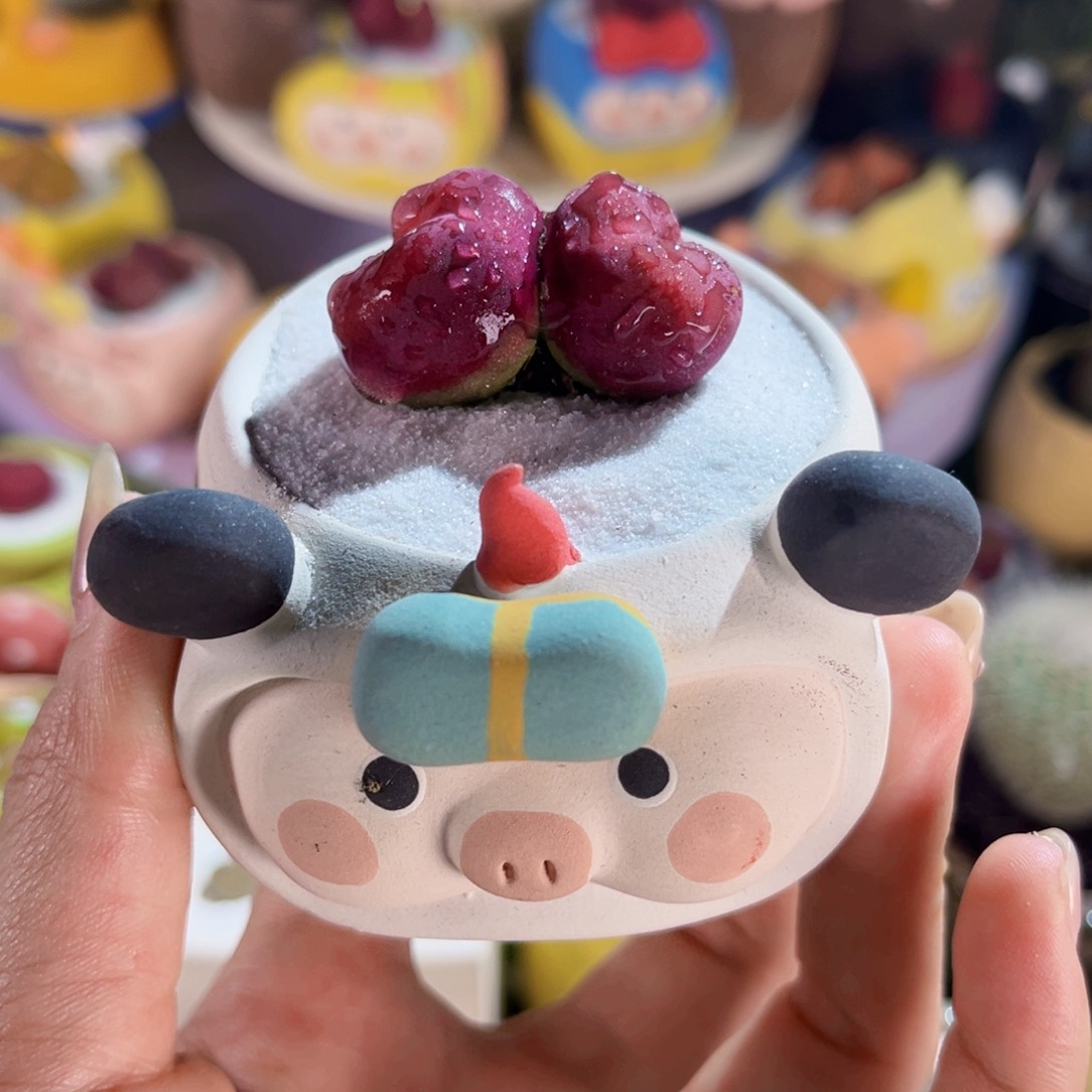 07双头毛汉尼玫红色手工盆包邮