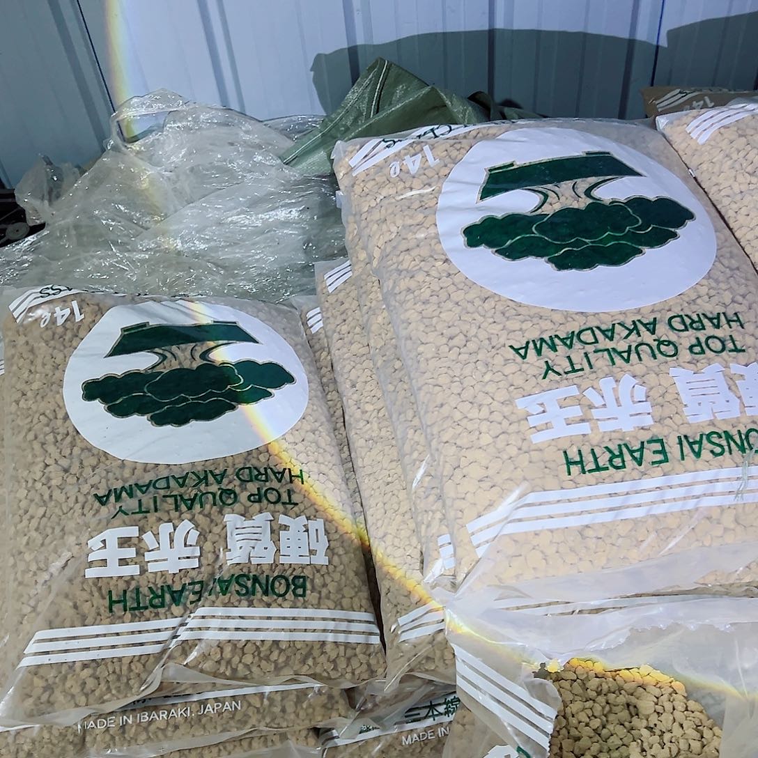 无花朵盆景赤玉土3本6到9