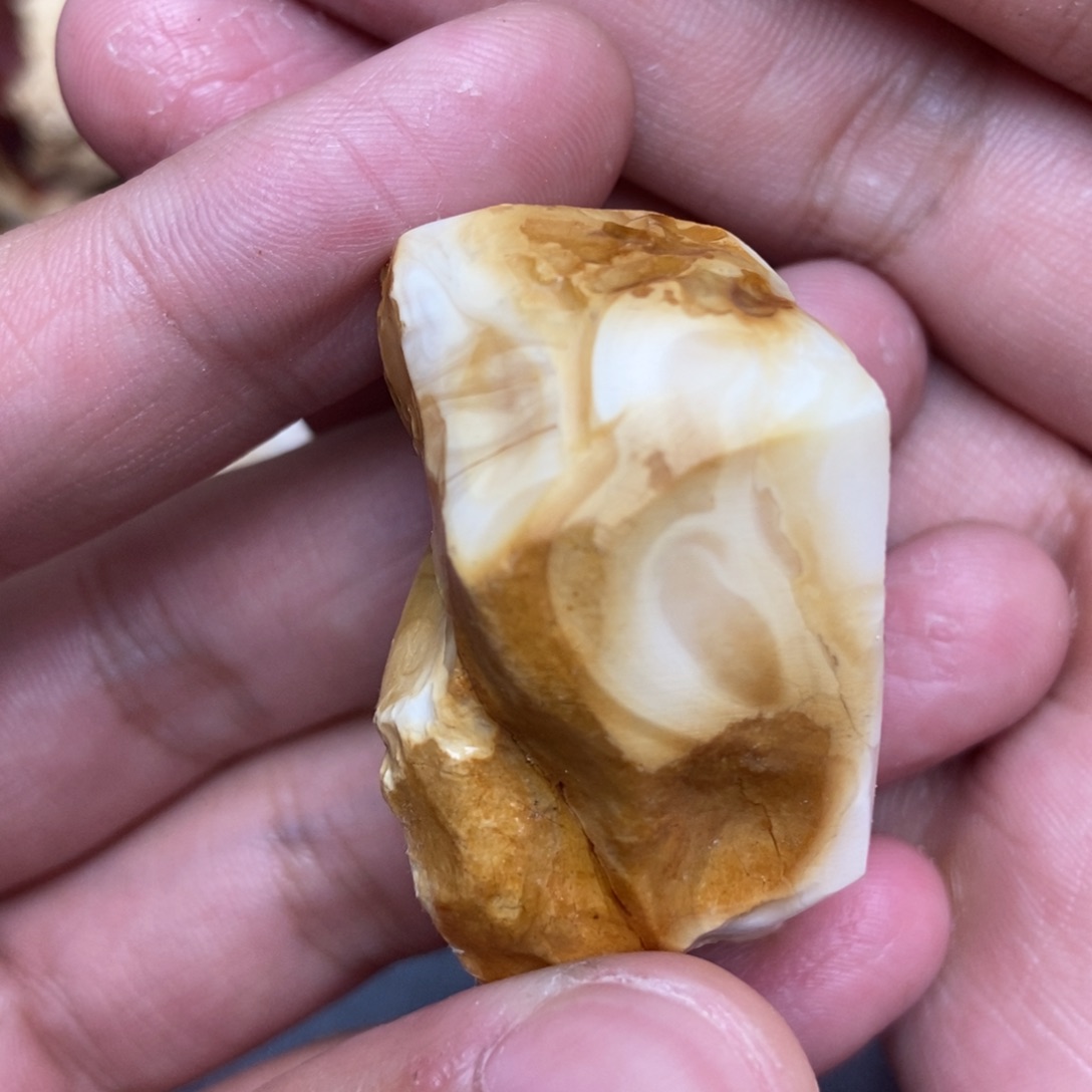定制琥珀未镶嵌腾辉