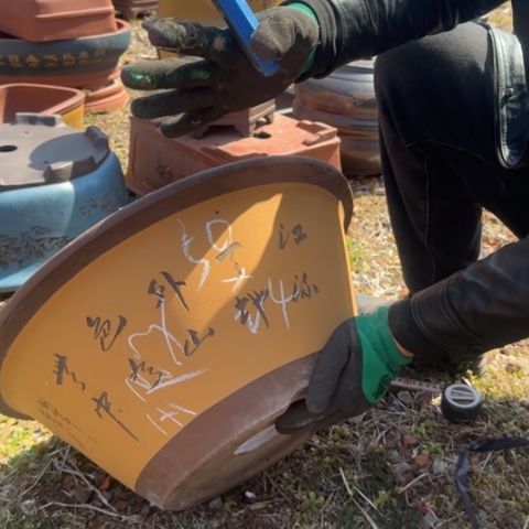 紫砂花盆紫砂花盆盆景盆栽瑕疵