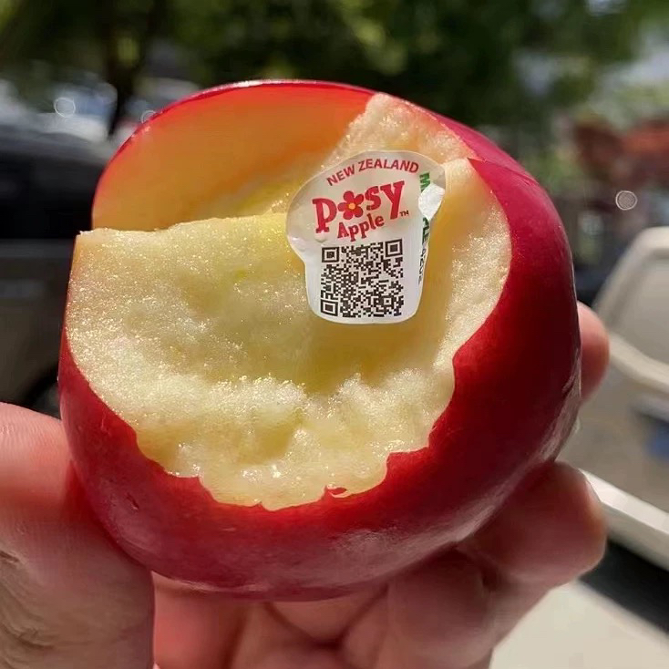 新西兰进口POSY小花苹果10颗
