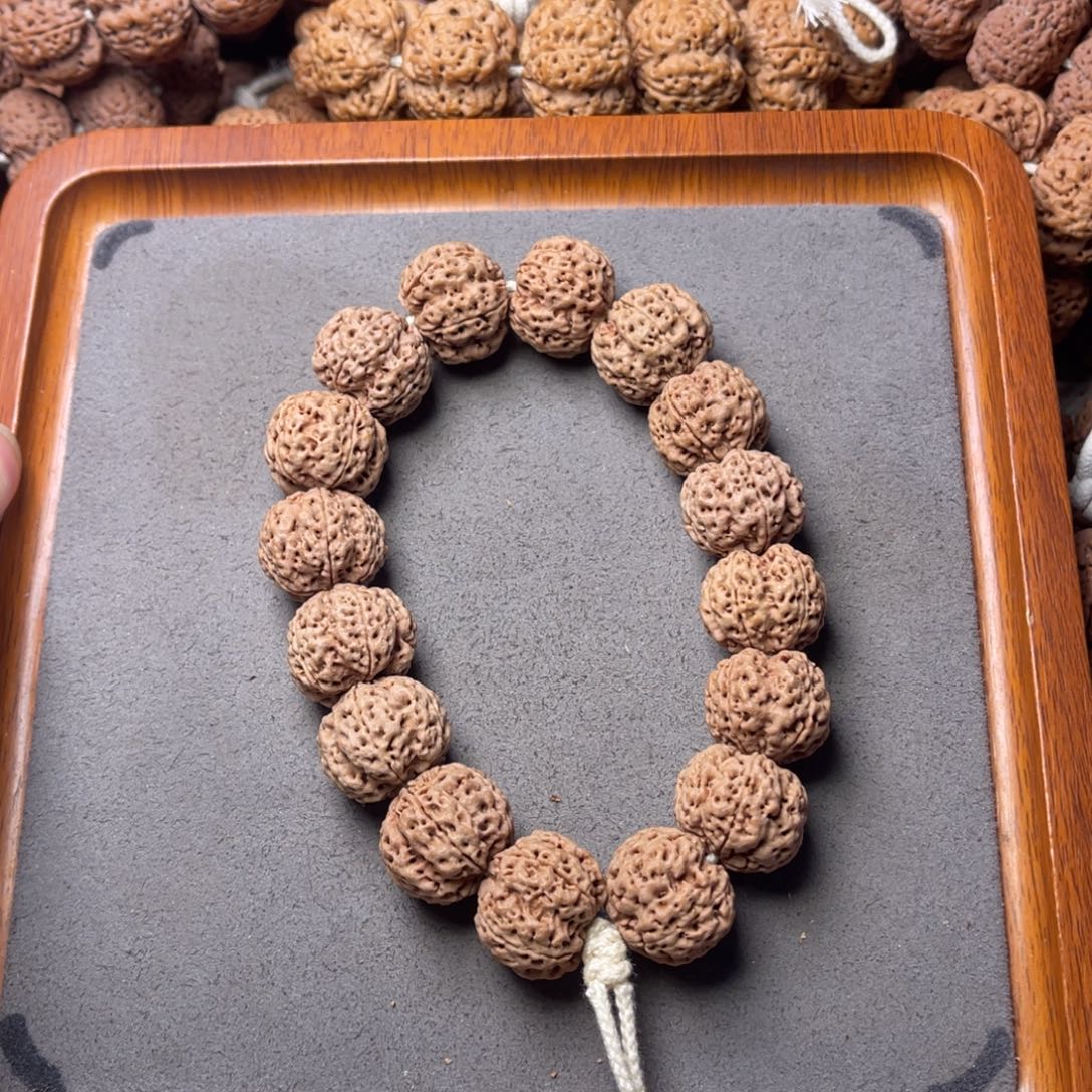 菩提籽类16号金刚菩提梁梅花20