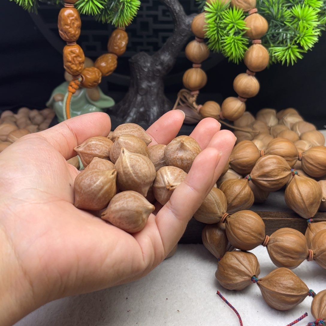 手串/手链橄榄核他****p1.9*2.5三花铁核11颗