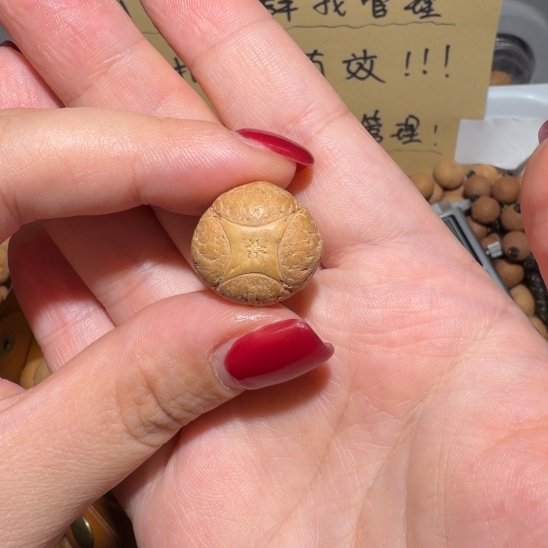 风***吧吊坠龙眼菩提风尚