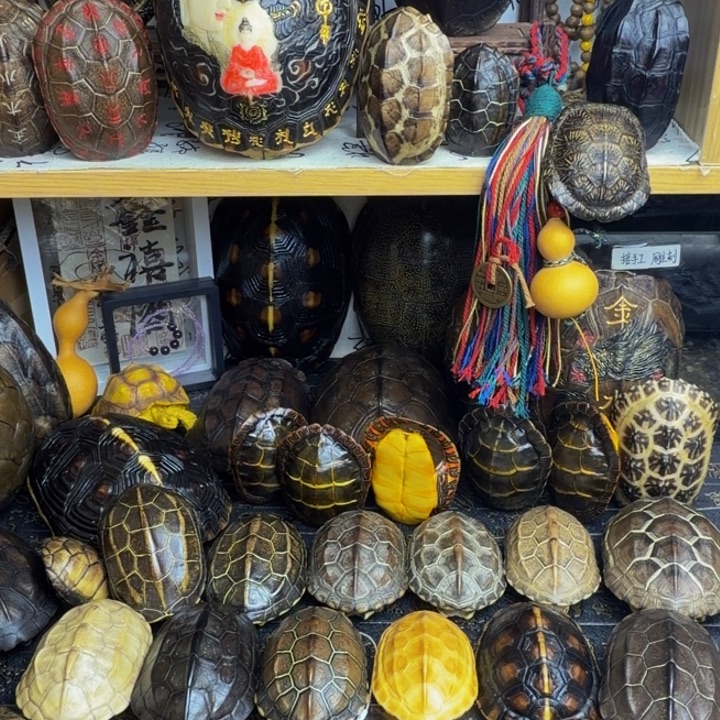 L***木有机玻璃龟甲手把件