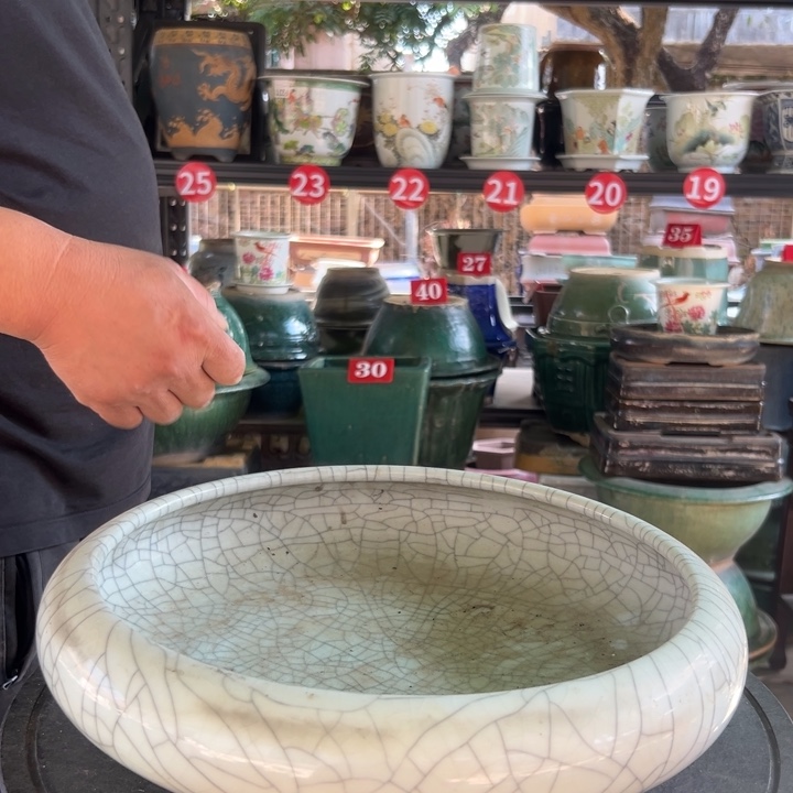 用****8我们的生活是以一颗感恩