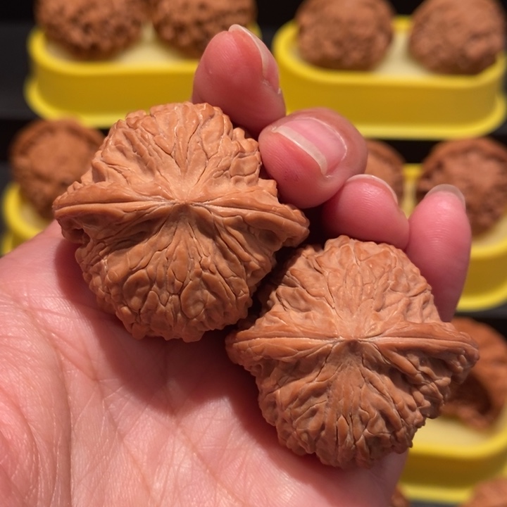 开***术文玩核桃38尺磨盘狮子头