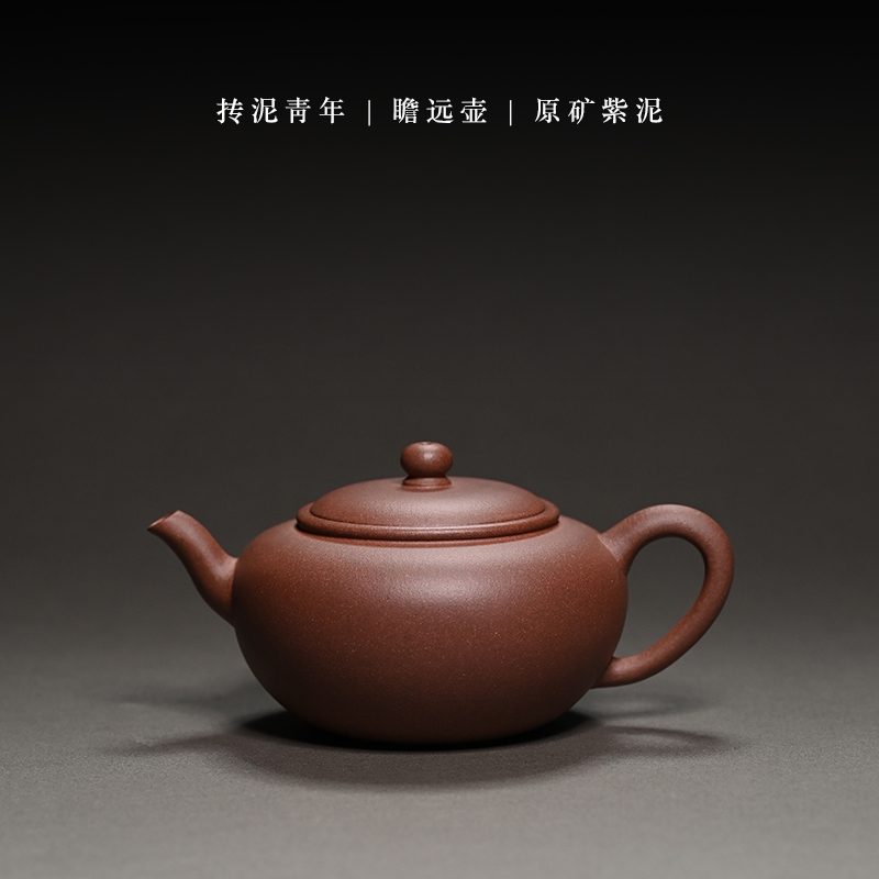 抟泥青年（瞻远）原矿紫泥紫砂壶泡茶壶泥壶150ml茶具圆壶