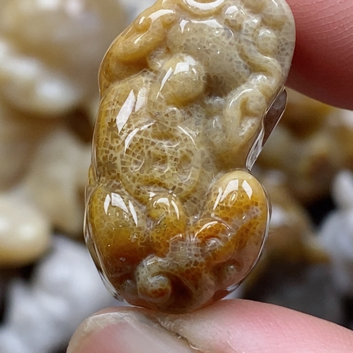 颈饰未镶嵌硅化珊瑚（珊瑚玉）小