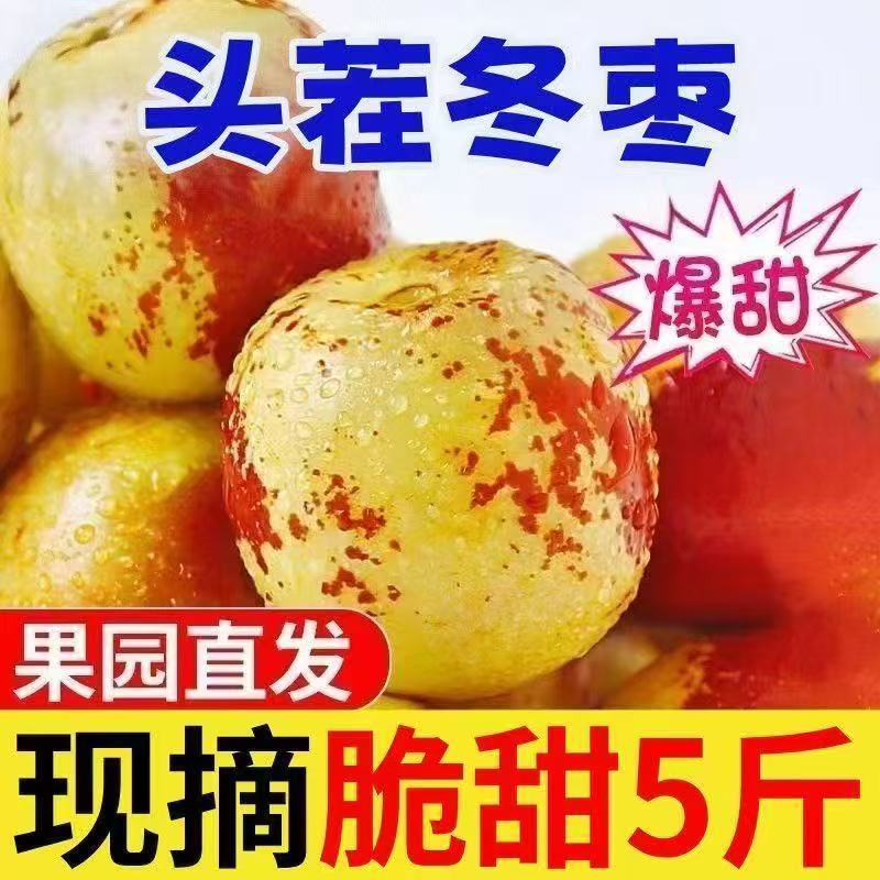 【现摘现发】新鲜沾化冬枣大果大青枣冰糖应季新鲜大枣水果