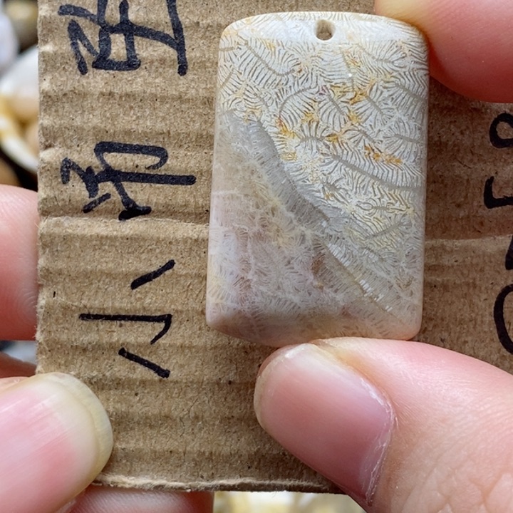 硅化珊瑚（珊瑚玉）颈饰未镶嵌