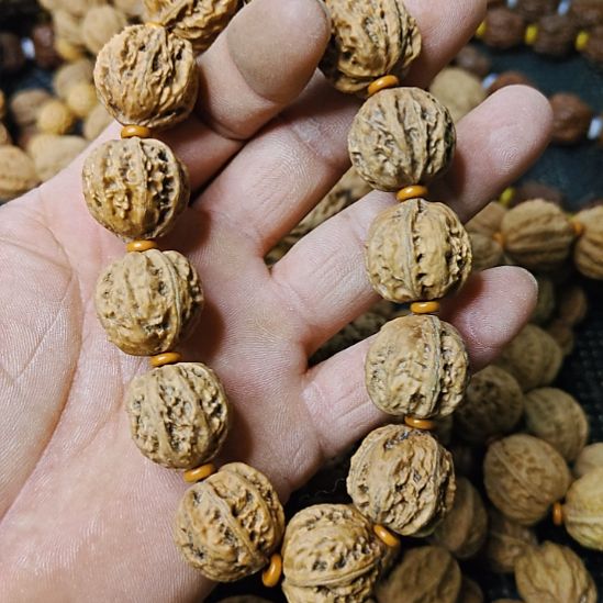 高***军木质类纯野生山核桃