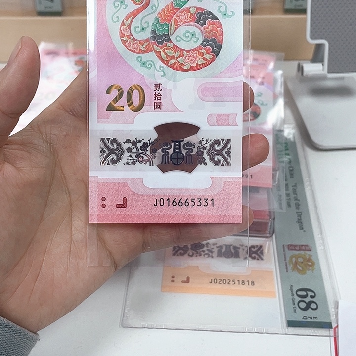 塑料蛇钞-5331———————-