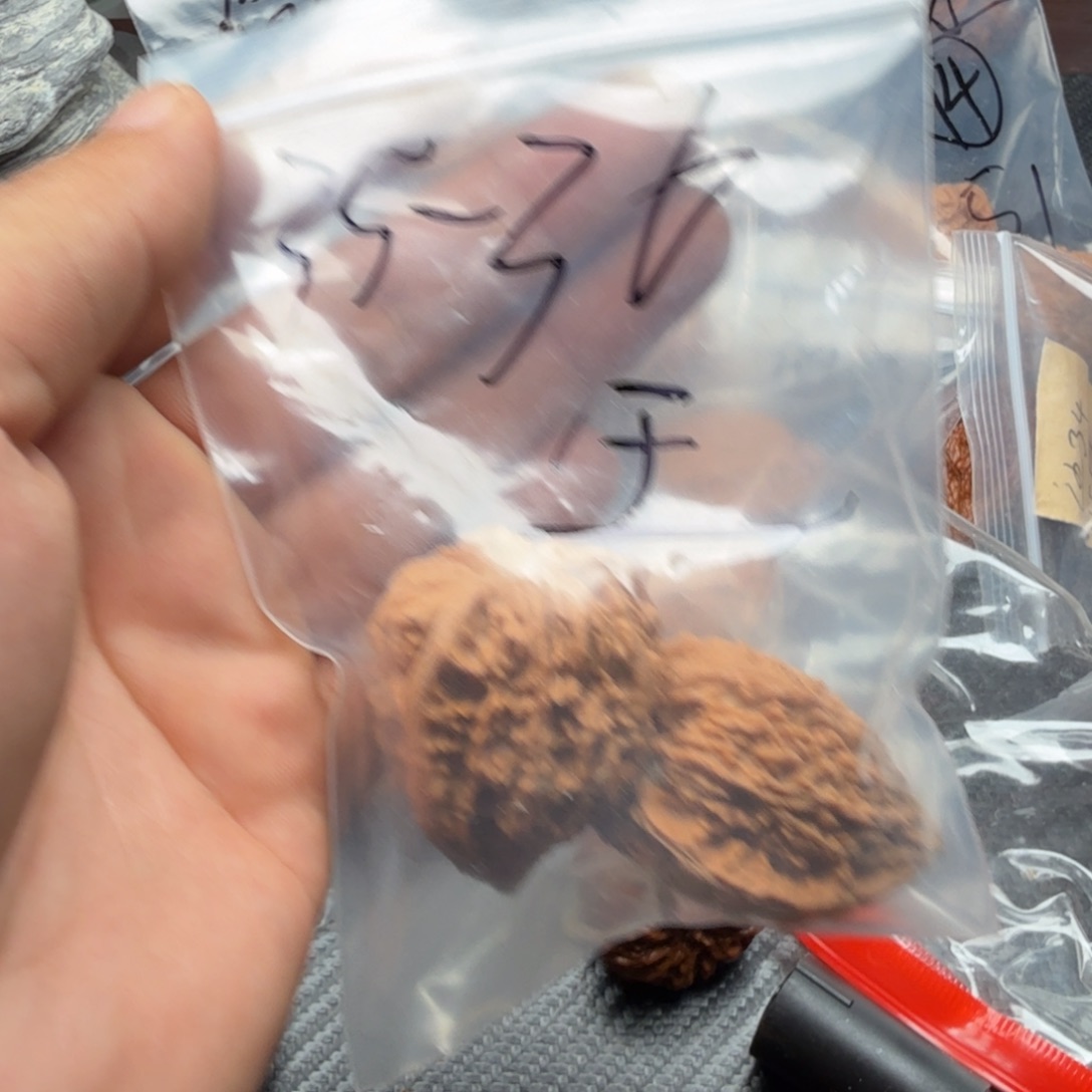 吊坠桃核福利塔尖35-36