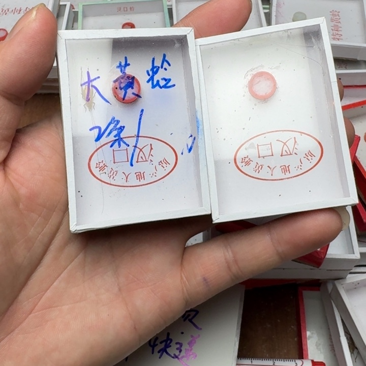 用***6蟋蟀11111111111发分