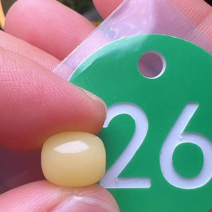 蜜蜡裸石未镶嵌8m m