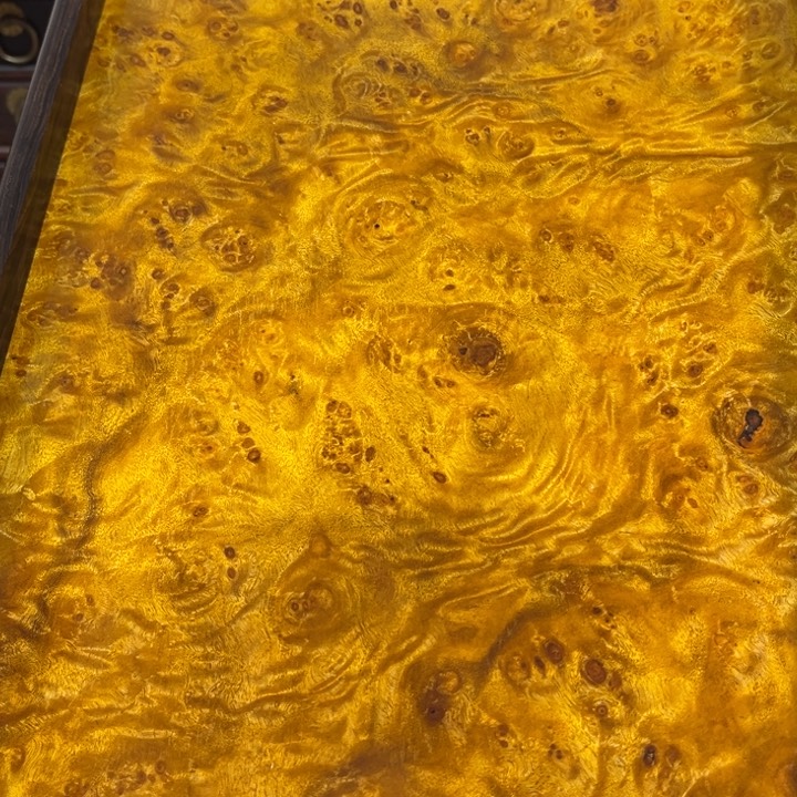 木黄金樟留疤超大托盘