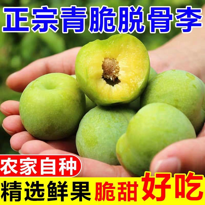【顺丰】青脆脱骨李子当季新鲜水果李子树熟李子产地现摘顺丰包邮
